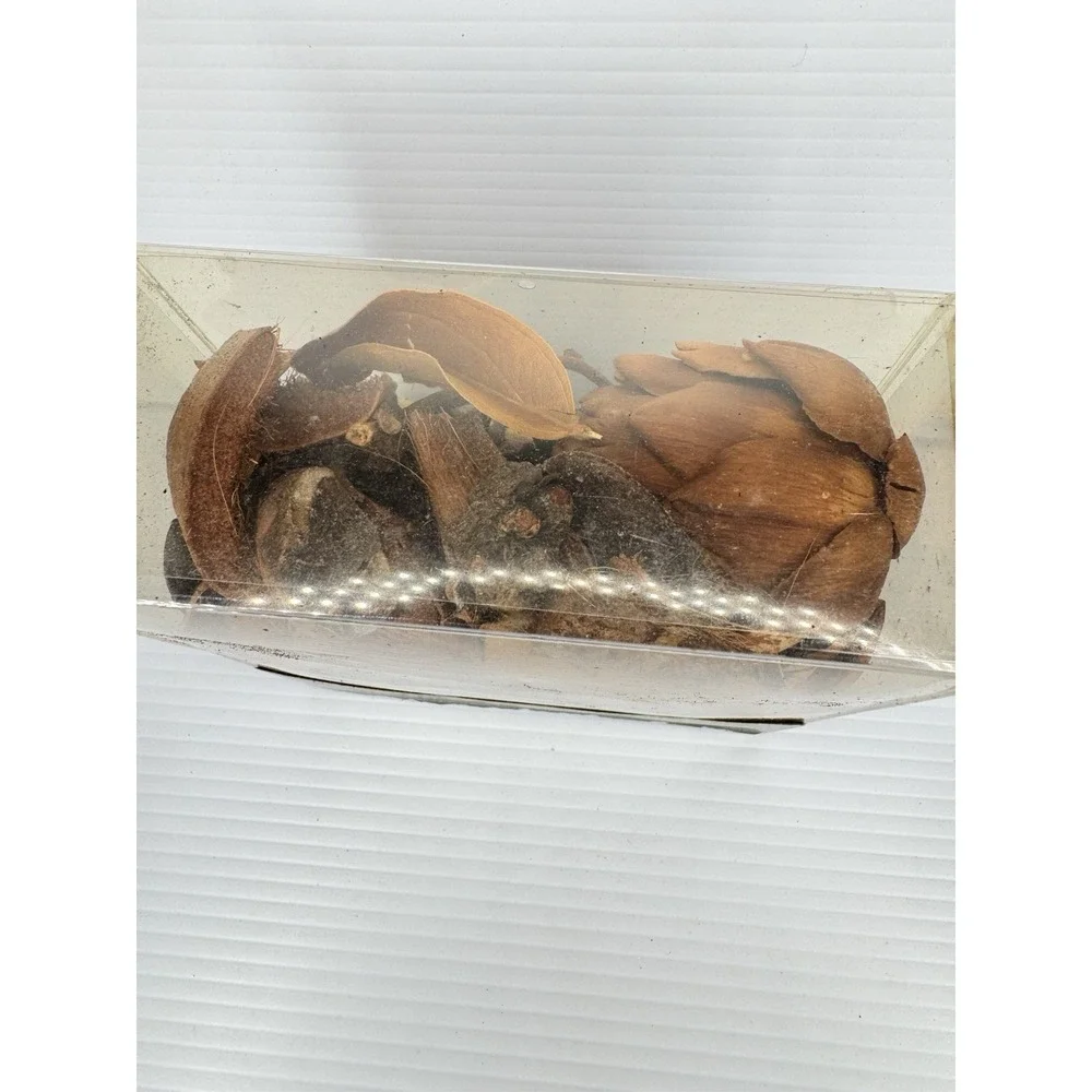 Pottery Barn Leaf Potpourri 7 oz Botanical Mix Leaves & Pods Home Fragrance Fall